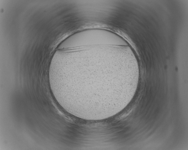 X0000067510433200605051833