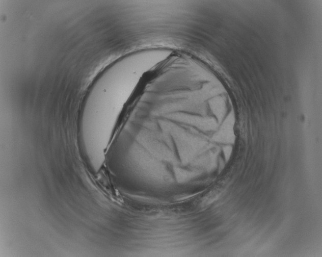 X0000067510434200605051833