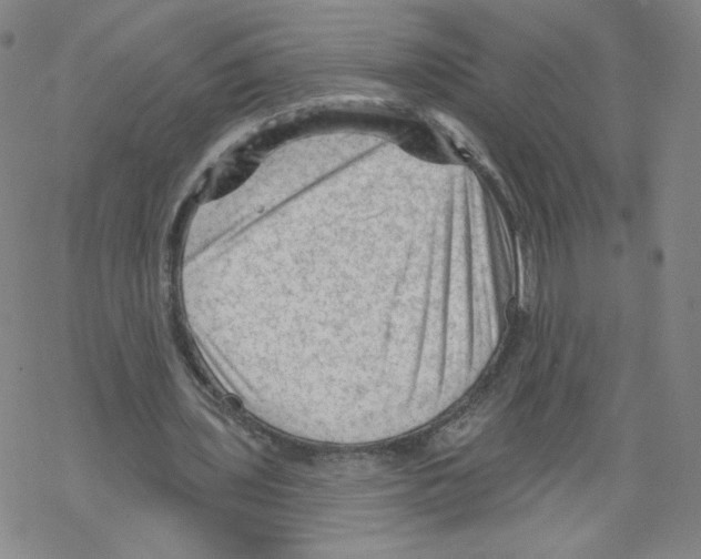 X0000067510435200605051833