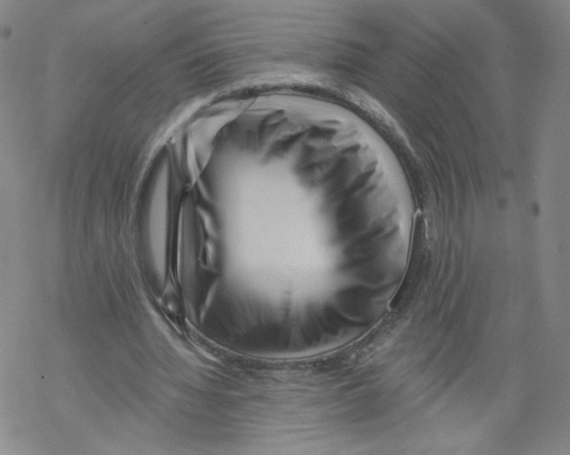 X0000067510436200605051833