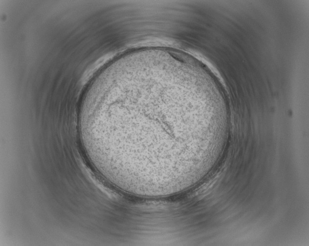 X0000067510437200605051833