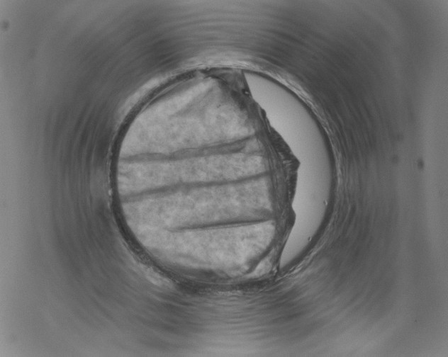 X0000067510438200605051833