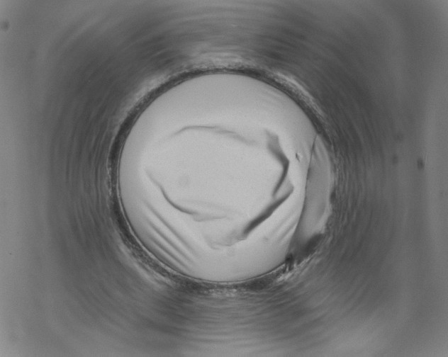 X0000067510439200605051833