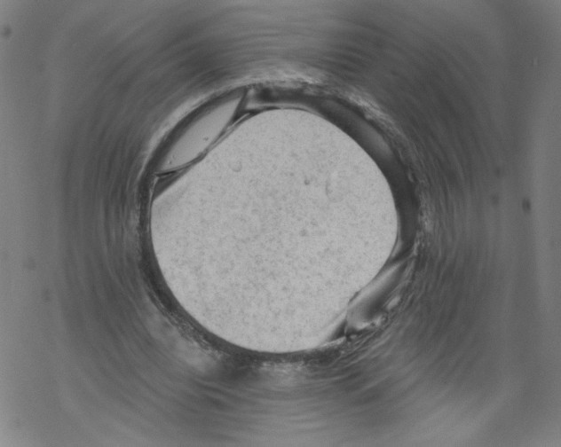 X0000067510440200605051833