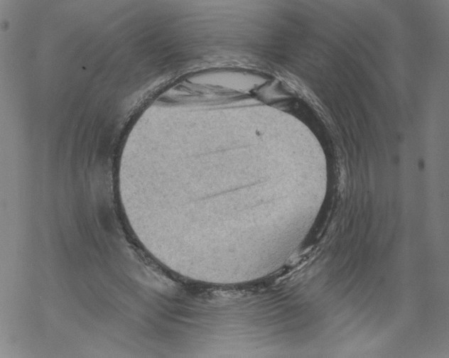 X0000067510442200605051833