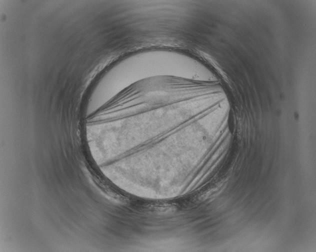 X0000067510443200605051833