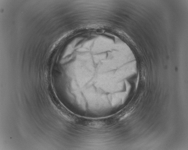 X0000067510444200605051833