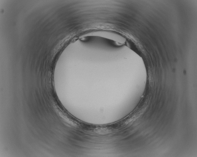 X0000067510445200605051833