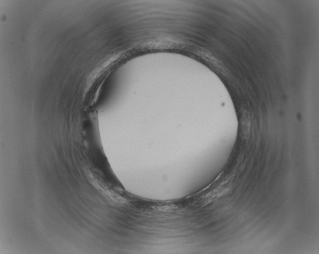 X0000067510446200605051833