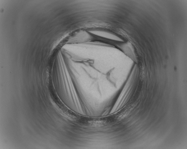 X0000067510448200605051833