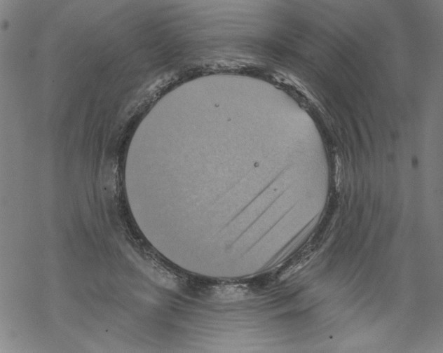 X0000067510451200605051833