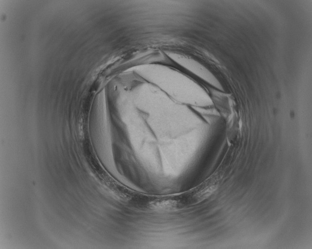 X0000067510452200605051833