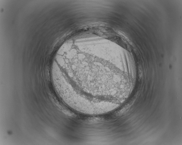 X0000067510453200605051833