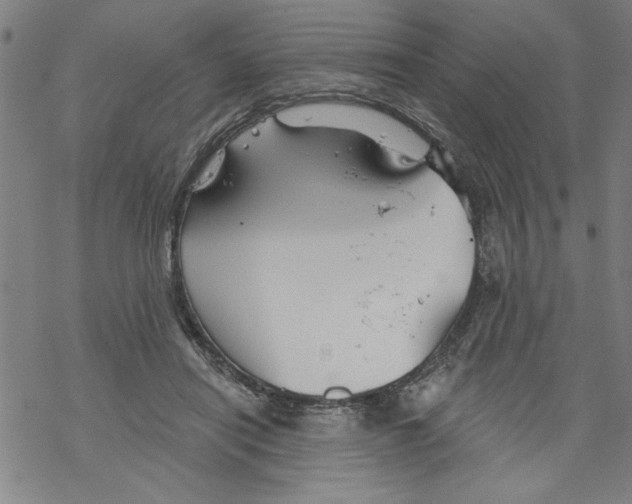 X0000067510454200605051833