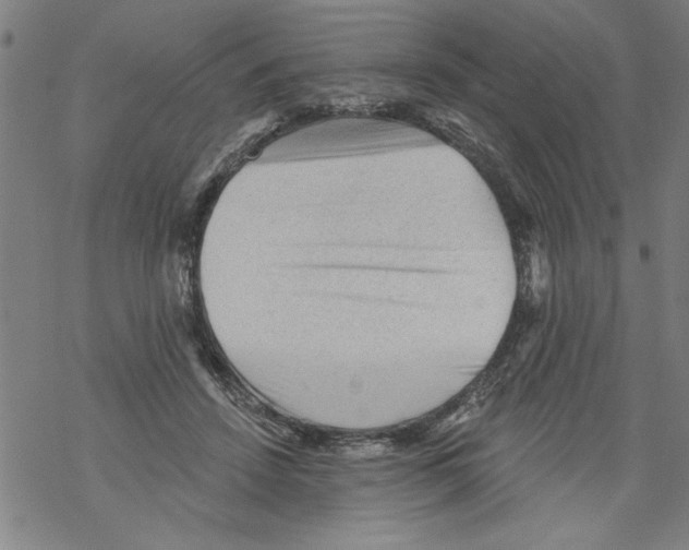 X0000067510456200605051833