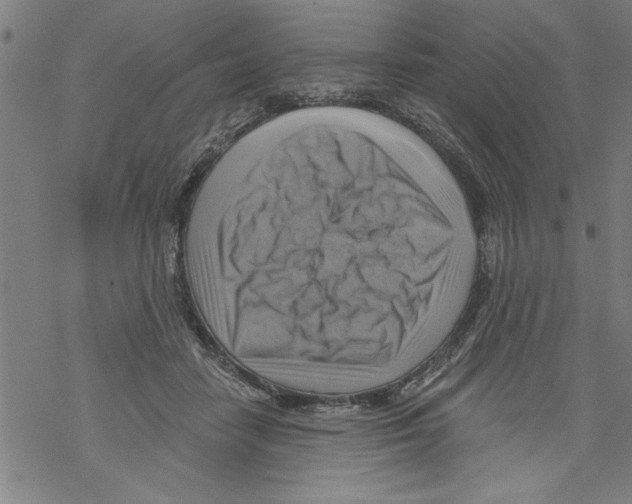 X0000067510458200605051833