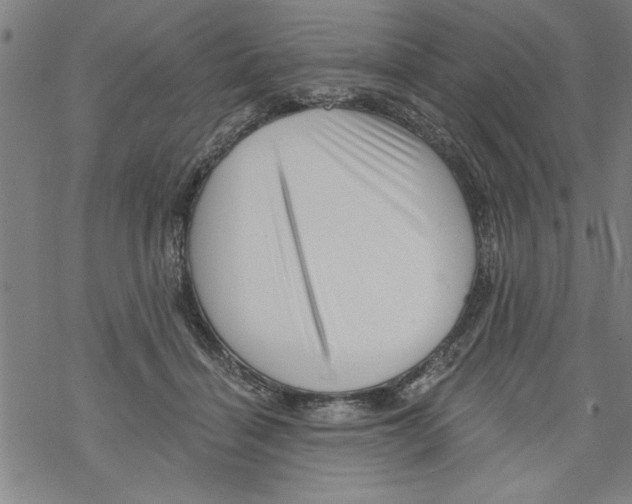 X0000067510460200605051833