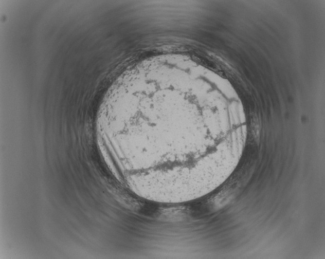 X0000067510461200605051833