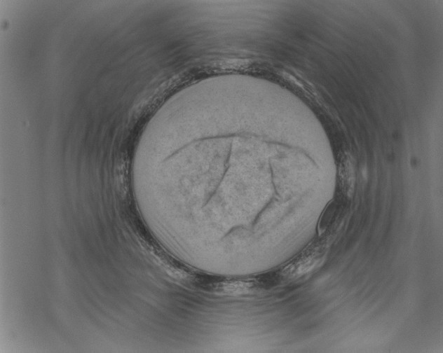 X0000067510462200605051833