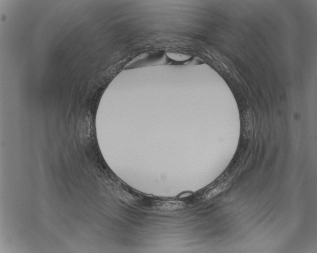 X0000067510463200605051833