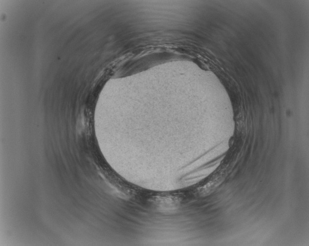 X0000067510464200605051833