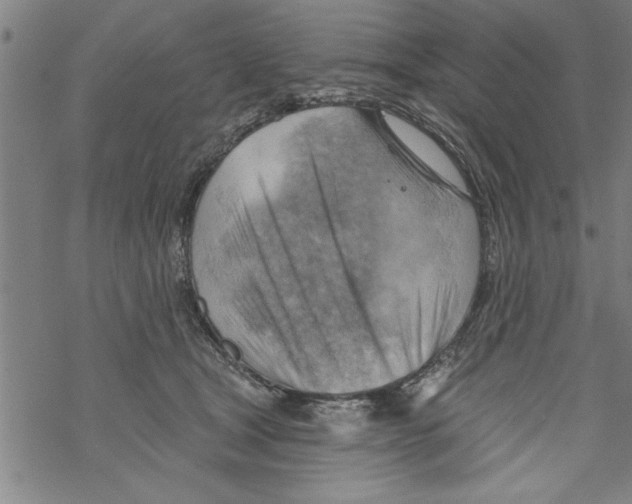 X0000067510465200605051833