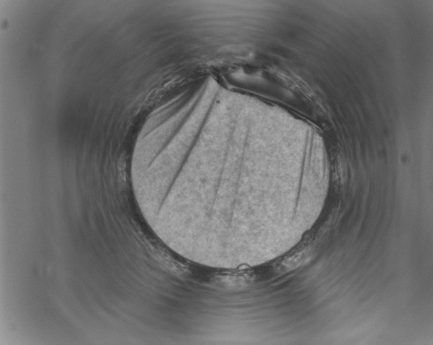 X0000067510466200605051833