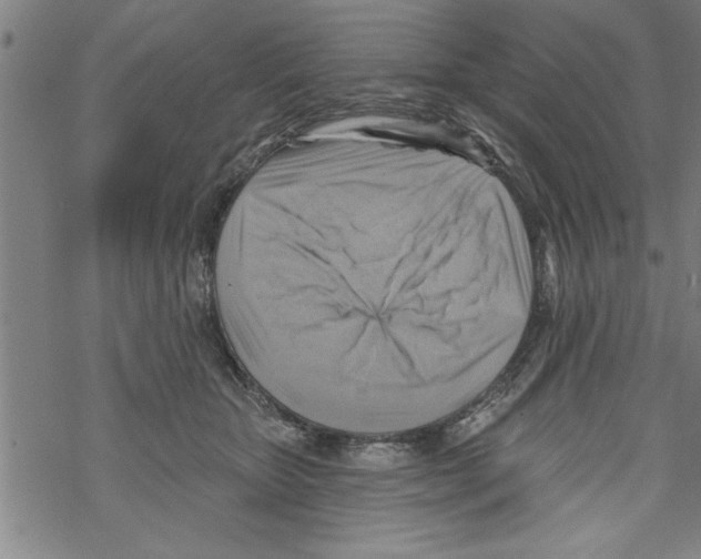 X0000067510467200605051833