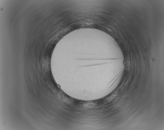 X0000067510468200605051833