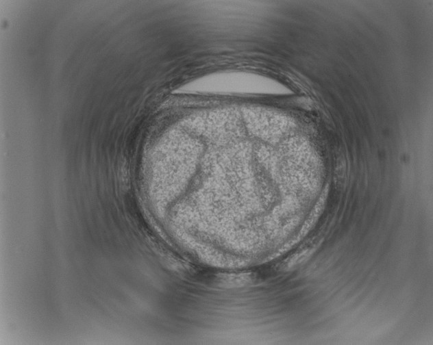 X0000067510469200605051833