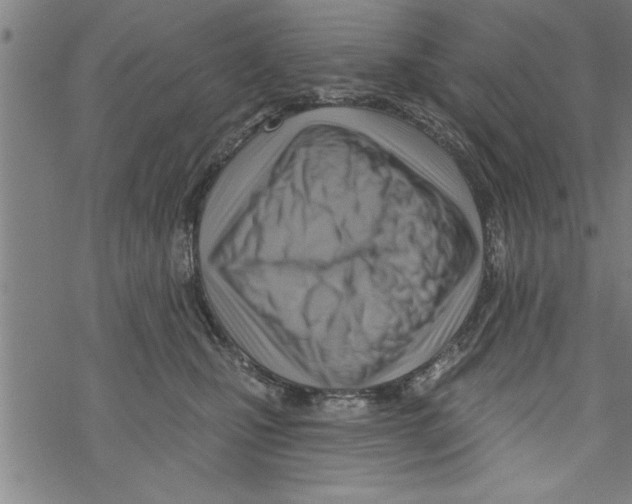 X0000067510471200605051834