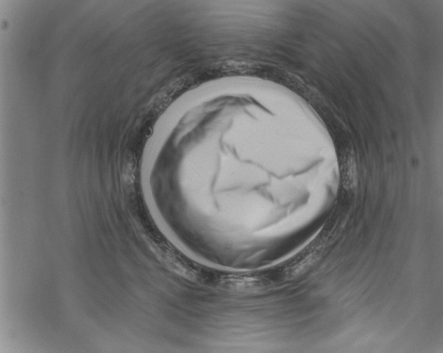 X0000067510472200605051834