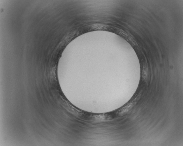 X0000067510473200605051834