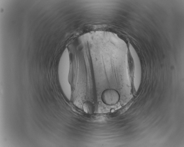 X0000067510475200605051834