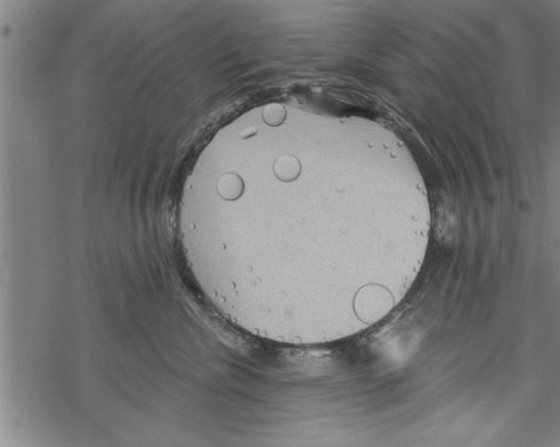 X0000067510476200605051834