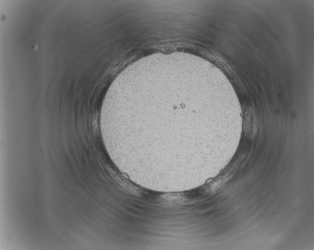 X0000067510477200605051834