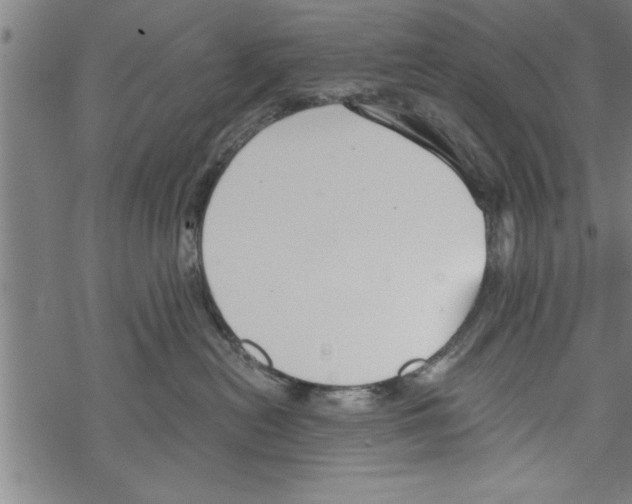 X0000067510478200605051834