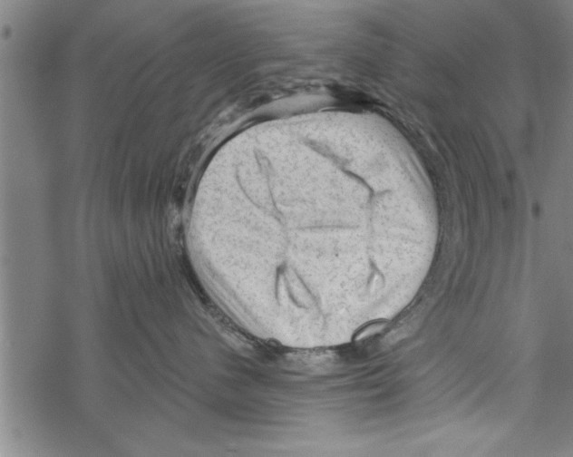 X0000067510480200605051834