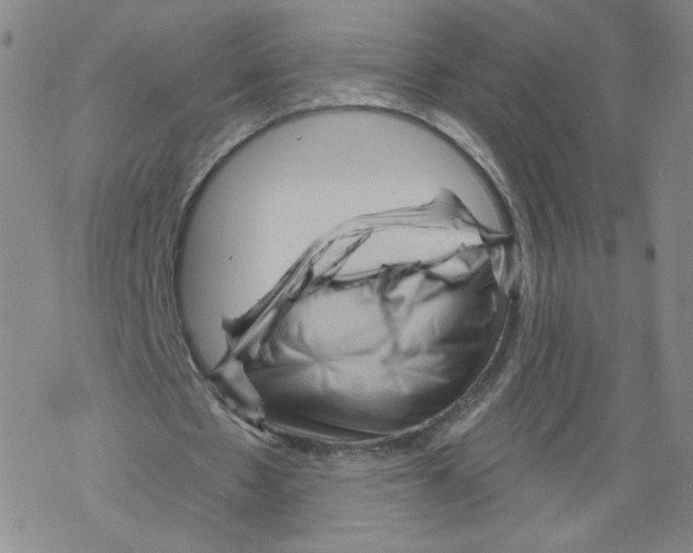 X0000067510481200605051833