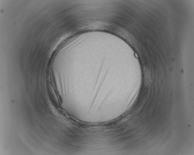 X0000067510482200605051833