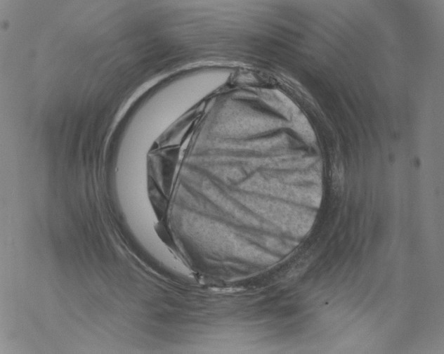 X0000067510484200605051833