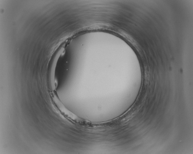 X0000067510485200605051833