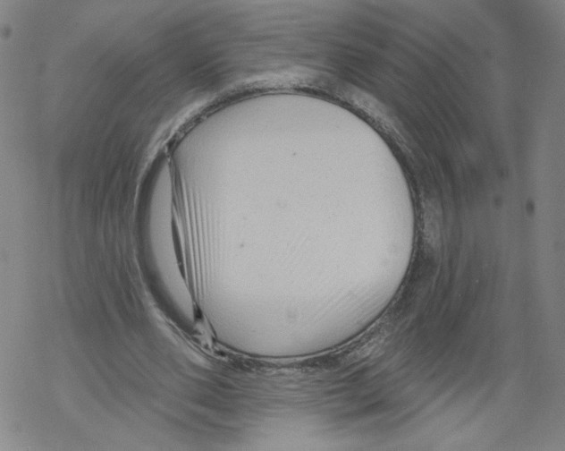 X0000067510486200605051833