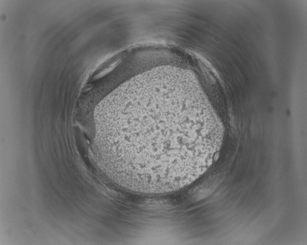 X0000067510487200605051833