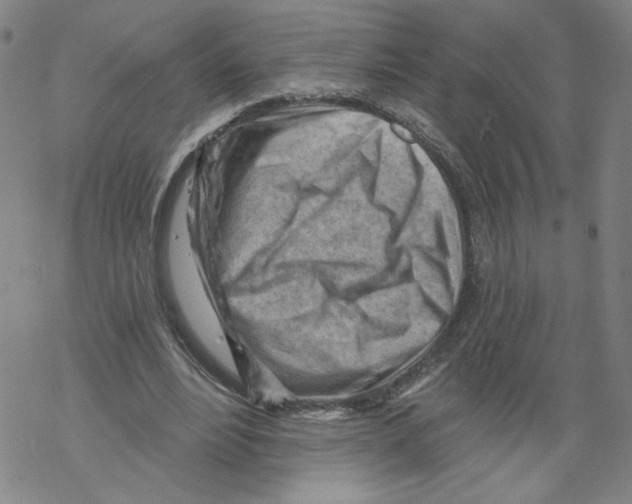 X0000067510488200605051833