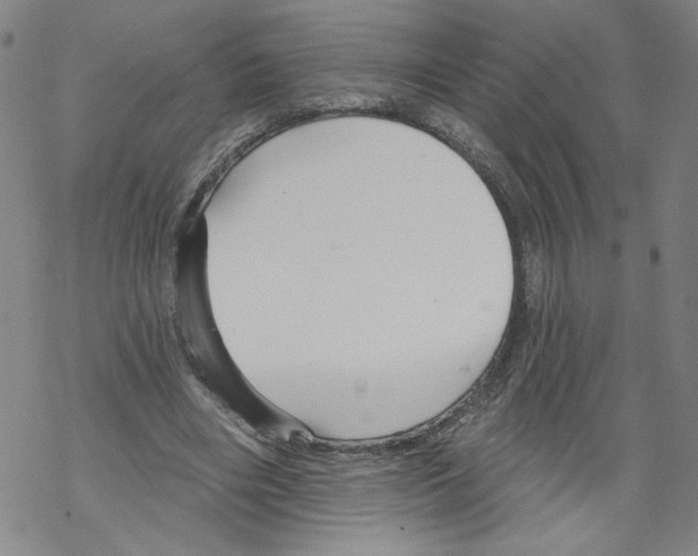 X0000067510490200605051833