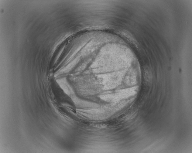 X0000067510491200605051833