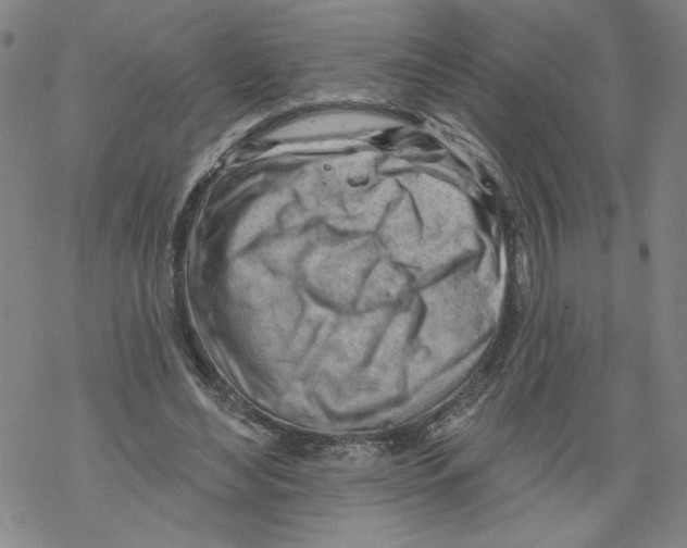 X0000067510492200605051833