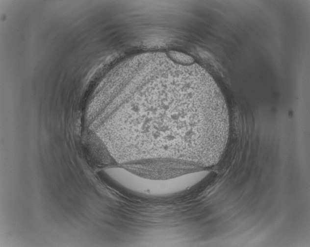 X0000067510495200605051833