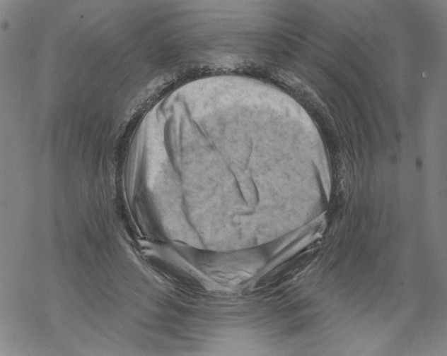 X0000067510496200605051833